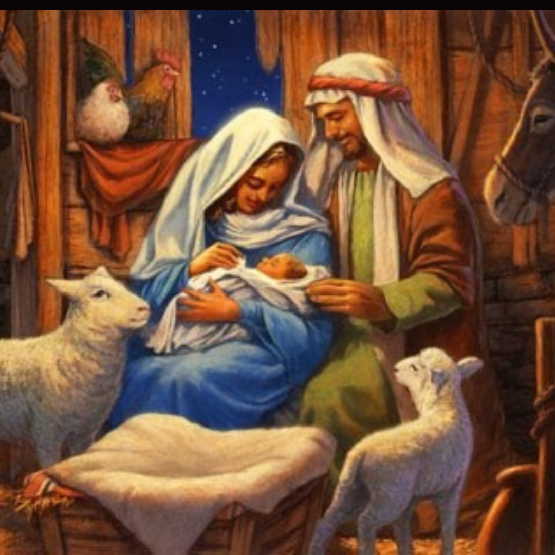 Untitled design (12)